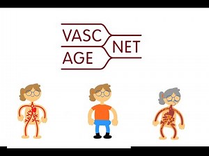 What is Vascular Ageing? Animation by VascAgeNet