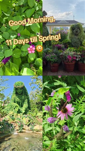 Spring Countdown 🌞🌸 #springtok #countdown #mondaymotivation #over40