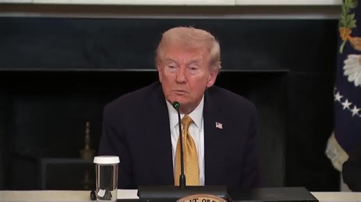 🚨 REPORTER: What's your reaction to Rep. Dan Goldman (D) calling on NYPD to arrest ICE agents? 🚨PRESIDENT TRUMP: I know Dan. Dan is a LOSER. He's a guy that doesn't have what it takes. He's been trying so hard, and they're exhausted. It's so ridiculous, a suggestion like that. They're trying so hard, and it's not working. They've even started imitating ME, using foul language - but they use too much! You can't use the F word 7 times in one sentence! | Eric Deters Media