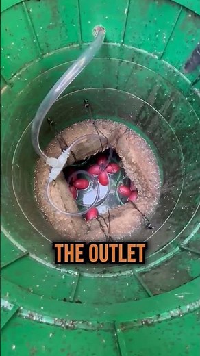 Aeration System Fully Installed – Final Setup Overview