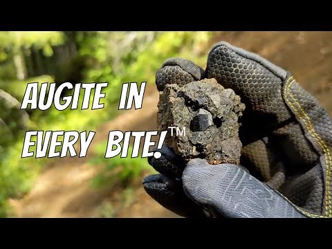 Augite from Tillamook State Forest || Rockhounding Oregon