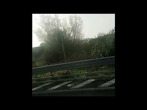 Fiumicino Airport Bus Transfer: The Easiest & Cheapest Route