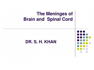 The Meninges of Brain and Spinal Cord - SlideServe