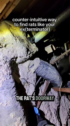 The "Dark Room" Trick for Finding Rodent Entry Points