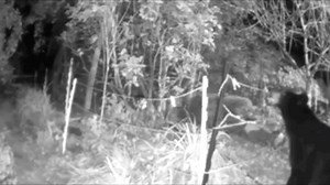 32K views · 100 reactions | ✅ Easy to install. ✅ Cost effective. ✅...