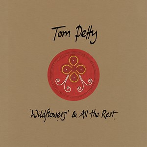 Honey Bee - Tom Petty - Traduzione | Testi e Traduzioni
