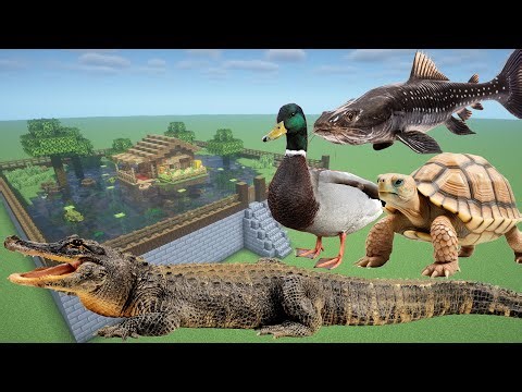 How To Make a Tortoise, Duck, Crocodile, and Catfish Farm in Minecraft PE