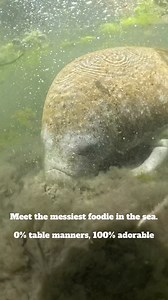 20K views · 938 reactions | “Why’s the water so murky?” 樂 Well… you...