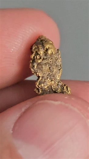 Gold Nuggets are not what you think! #notwhatiexpected #gold #emas #learning | Vo-Gus Prospecting