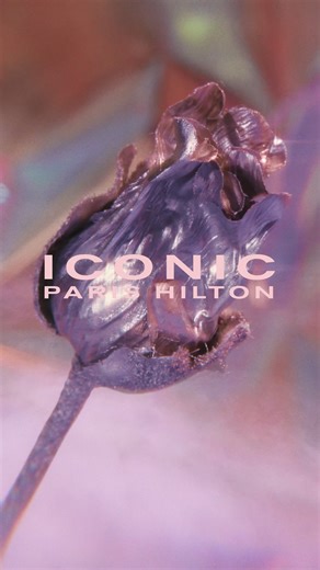 104K views · 1.1K reactions | The wait is over… ICONIC is finally here! ✨ This fragrance is so special to me — it’s bold, glamorous, and everything I dreamed it would be. I poured my heart into this one, and I can't wait for you to experience it. 殺 Available now, only at parishiltonfragrances.com #ParisHiltonIconic | Paris Hilton | Facebook