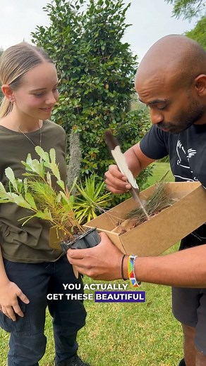 We have 12 Packs left!! Visit the website to grab your pack! | Feathered Friends