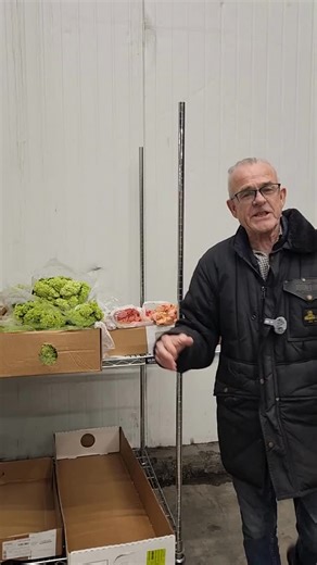 Gorgeous varieties available now in Miami Direct BoxLots! Ranunculus Grand Pastel Flowering Viburnum Rose Carpe Diem Hypericum Coco Gelato Pom Cushion Grand Prestige Cymbidium Head to https://www.mayesh.com/miami to shop now! #wholesaleflowers | Mayesh Wholesale Florist | Facebook