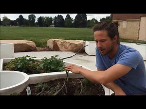 Using Your Integrated Irrigation System