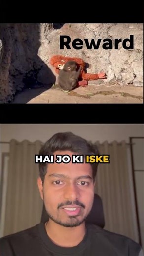 What Baby Monkey Punch Teaches About AI