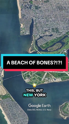 You may not know this, but New York has a beach made of trash and bones. Hidden in Brooklyn, this shoreline was built on landfill — and erosion is slowly revealing what’s underneath. This is Dead Horse Bay — one of the strangest places in NYC. #HiddenHistory #Geography #MapTok #DidYouKnow #LoopedFacts