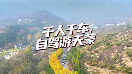 即刻出发！千人千车自驾游天蒙，用车轮丈量金秋，共赴一场五彩斑斓的视觉盛宴！#登天蒙赏红豆 #登高赏秋正当时 #天蒙景区 #天蒙景区农民免门票 #自驾游天蒙