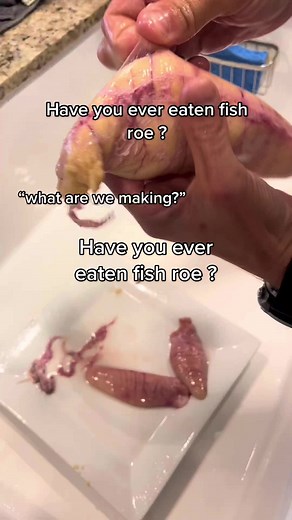 Delicious Cobia Roe - A Spearfishing Culinary Delight