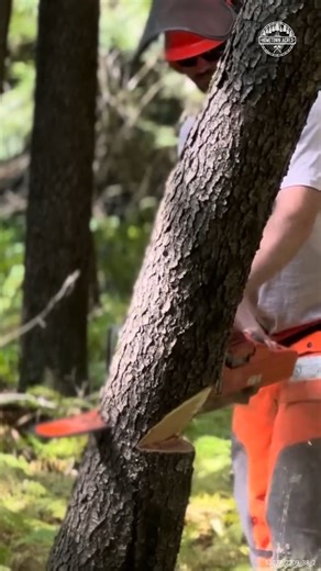 19K views · 80 reactions | #asmr #firewood #woodwork | Hometownacres | Facebook