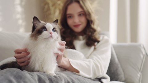 Bedsure GentleSoft Sherpa Fleece Blankets Queen Size for Bed - Thick and Warm Throw for Women and Men, Soft Fuzzy Plush Queen Blanket for Winter, Grey, 90x90 Inches