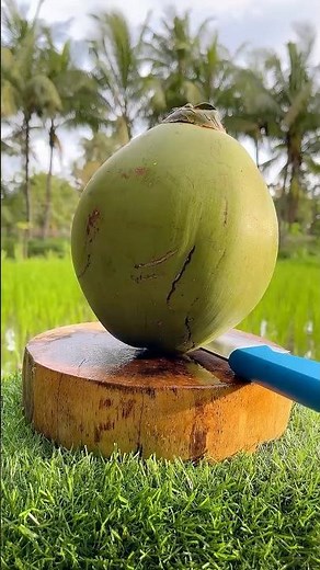 Insanely Satisfying Coconut Peeling