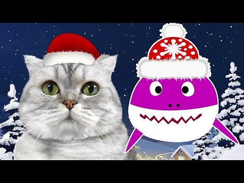 Baby Shark CAT Dance | Sing and Dance! | @Baby Shark Official | PINKFONG Songs for Children