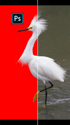 Adobe Photoshop 2026 | How to Fix Auto Background Removal Errors Like a PRO