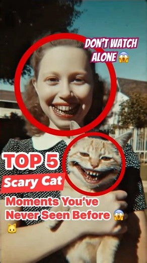 Top 5 Scary Cat Moments Caught on Camera 👀😱 #usa #cat #scarycats