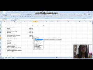 Como elaborar una hoja de balance general en excel