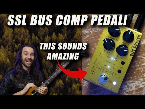 SSL Bus Comp Pedal? YES PLEASE! || BUS DRIVER by Citadel Effects