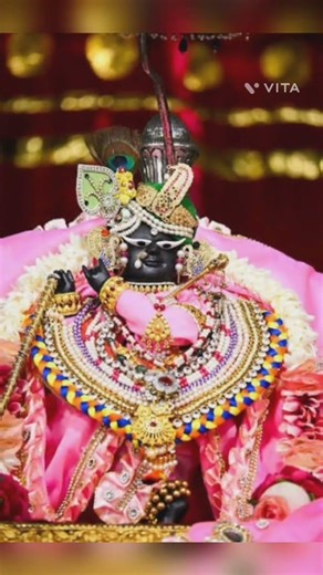 Radha Raman ji 🧿♥️.#radharani #radharamanji #radharaman #radhakrishna #radheshyam #bridal