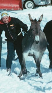 27K views · 256 reactions | When you’re interested in skijoring, but you only have a donkey 𢡊 This footage is from 65 years ago—Warren Miller created such an impressive legacy  ️: 1960’s “Swinging Skis” | Warren Miller Entertainment | Facebook