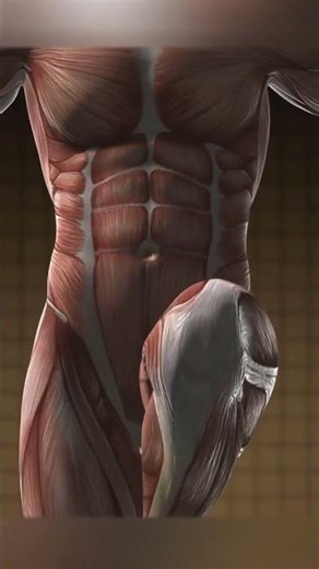 Mastering Colon Usage Tips #grammartips #englishlanguage #englishgrammar #grammarrules #english