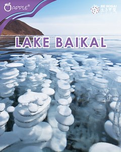 4.1K views · 29 reactions | 流 Ever seen an ice surface dozens of...