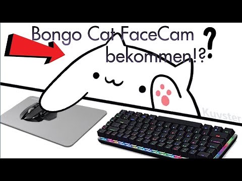 BongoCat FaceCam/Katzen FaceCam 😺 ganz einfach bekommen (Deutsch/German)