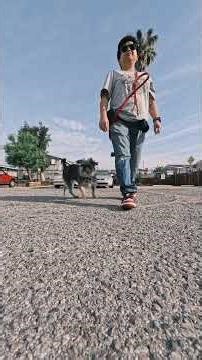 Friday Is Here! #grumpy #petlove #doglife