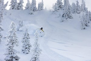 First to open in Colorado for the season, Wolf Creek is now up to 1,520 acres of terrain