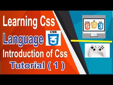 CSS Tutorial for Beginners-Full Course