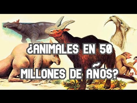 Animals of the Future | What Will They Look Like in 50 Million Years?