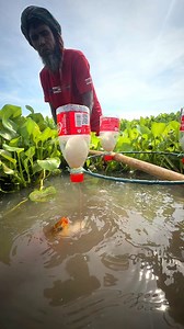 Amazing primitive life fishing | MR Fishing Life