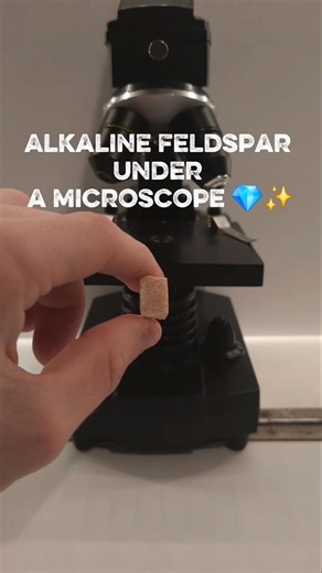 Microscopic observation of an alkaline feldspar #microscope #science #experiment