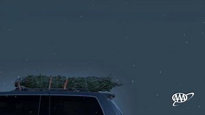 Do you know how to safely transport your Christmas tree home? Here are tips from AAA to stay safe. | AAA Auto Club Enterprises | Facebook