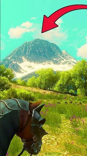 Witcher Toussaint