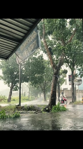 Hujan Turun Lagi: Melodi Nostalgia di Bawah Payung