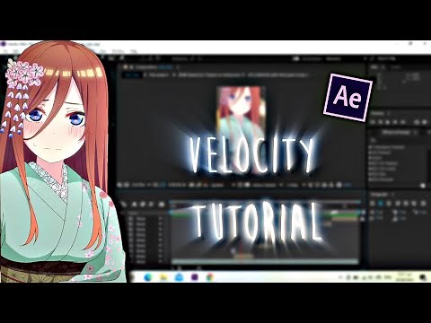 Velocity Tutorial | After Effects