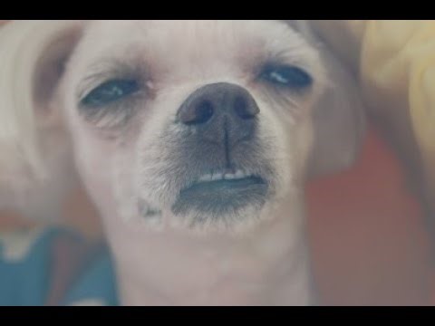 [D2R Speedrun] PX SOR Normal Run 디아 스피드런 PX 소서노멀런