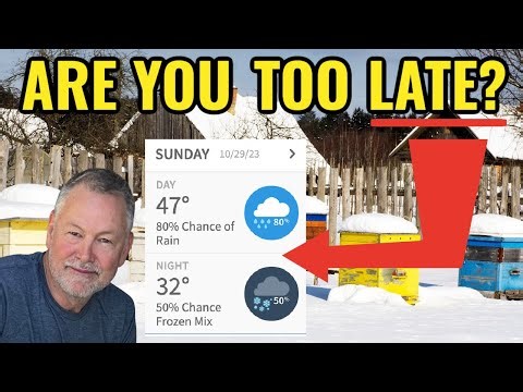 Beekeeping Activities That Depend On The Temperature