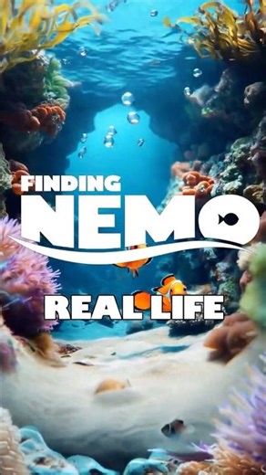 Finding Nemo characters as real people