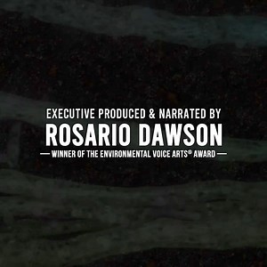 2K reactions · 841 shares | If you're looking for some good news...