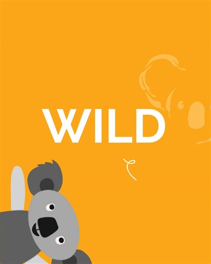 Wow - we're blown away by the results of Jump for Koalas 2025 and wanted to share! 💚 For one day in September, WildNets donate 100% of their profits to Koala Conservation Australia - we call this day Jump for Koalas! That's not to mention that every other day of the year they donate 50% of their profits to helping us save koalas - absolute legends! 🐨🐨🐨 We're excited to let you know that in 2025 Jump for Koalas raised over $5000 for KCA - what a result! We love our incredible partners WildNet