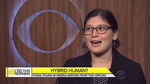 DNA test of ancient bone reveals human hybrid